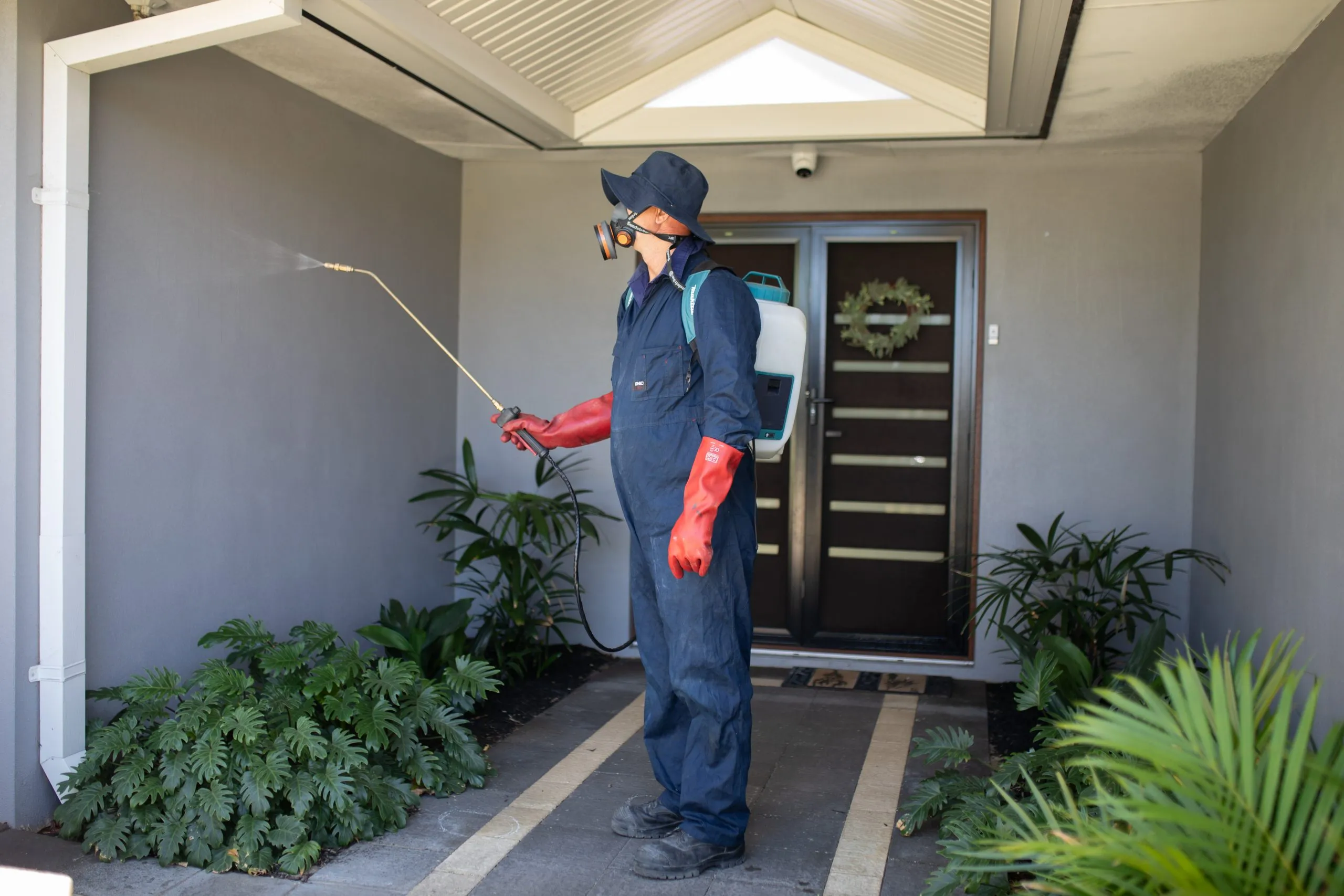 افضل شركه في رش حشرات 